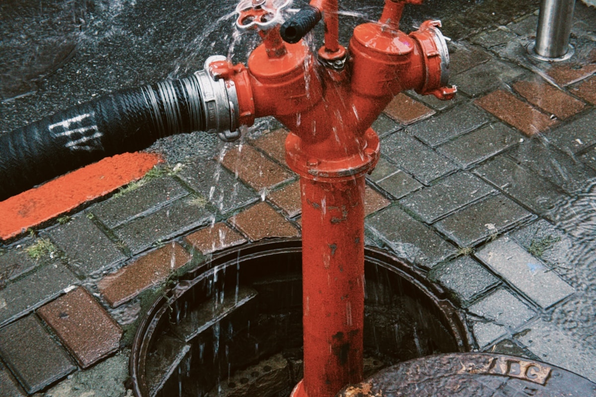 Water Extraction service in Provo, UT